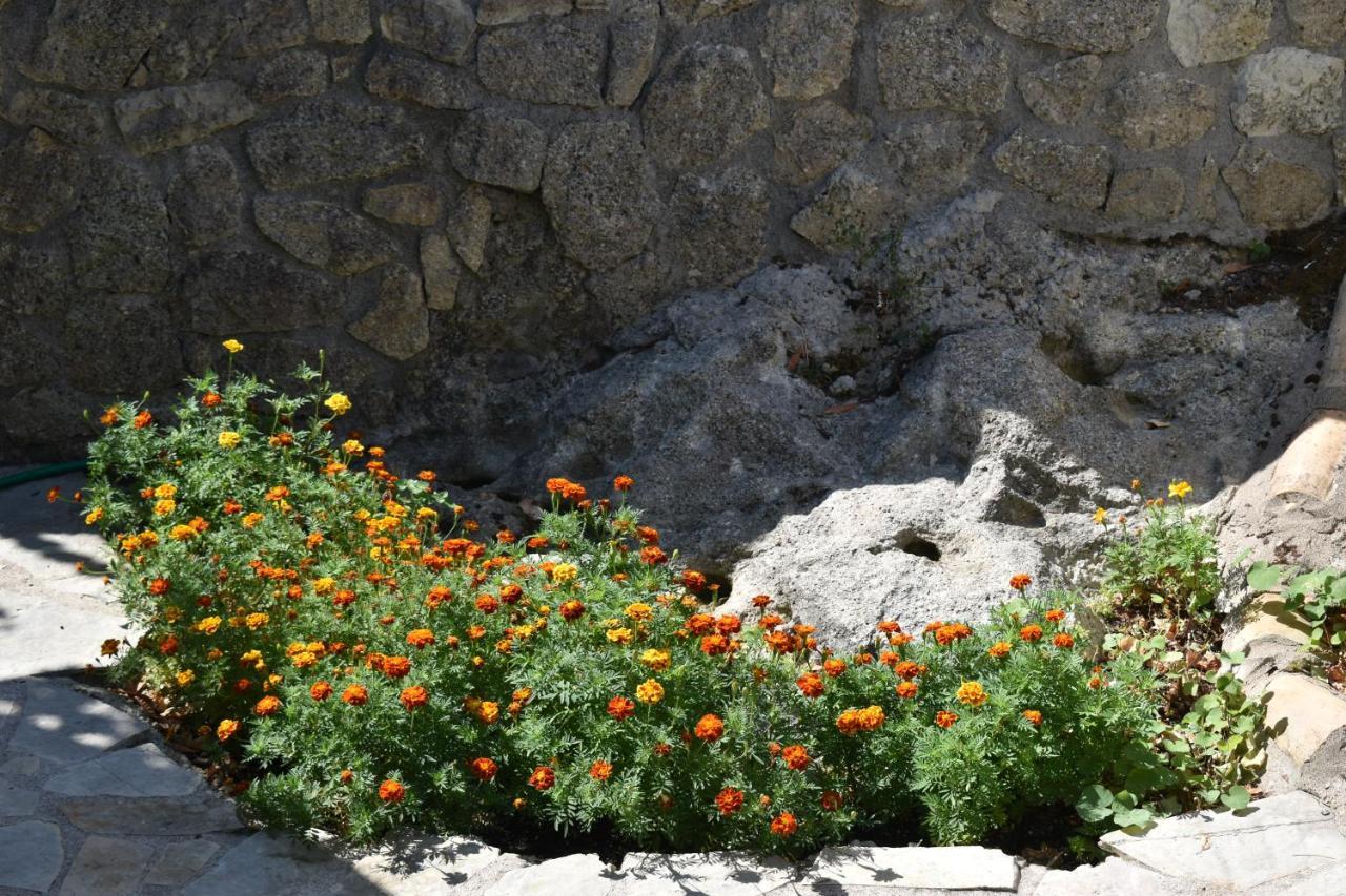 Estate Dafnopanagia Villa Magda Asprogerakata Exterior foto